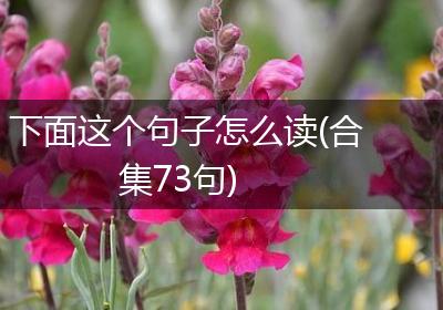 下面这个句子怎么读(合集73句)