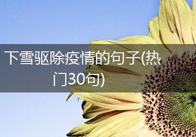 下雪驱除疫情的句子(热门30句)