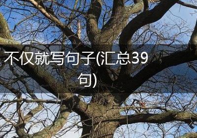 不仅就写句子(汇总39句)
