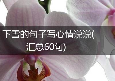下雪的句子写心情说说(汇总60句)