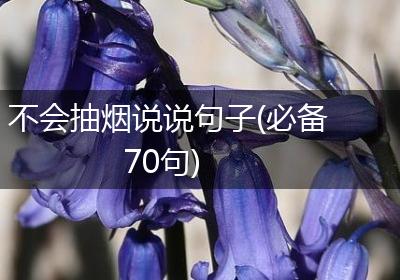 不会抽烟说说句子(必备70句)