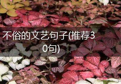 不俗的文艺句子(推荐30句)