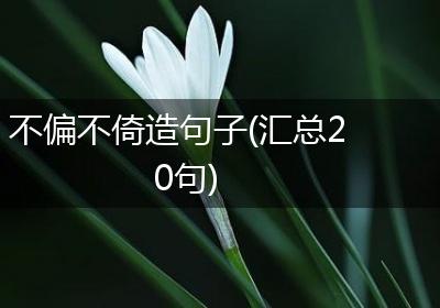 不偏不倚造句子(汇总20句)