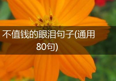 不值钱的眼泪句子(通用80句)