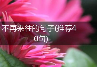 不再来往的句子(推荐40句)
