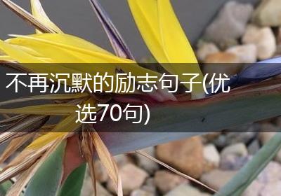 不再沉默的励志句子(优选70句)