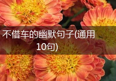 不借车的幽默句子(通用10句)