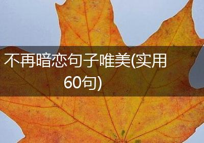 不再暗恋句子唯美(实用60句)