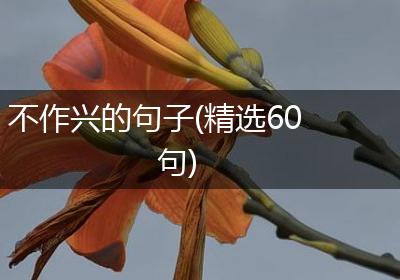 不作兴的句子(精选60句)