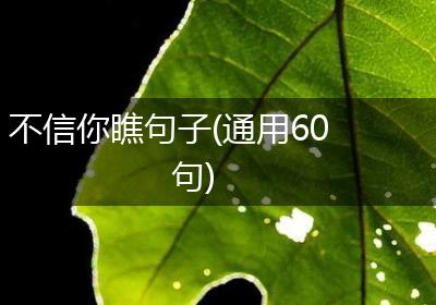 不信你瞧句子(通用60句)