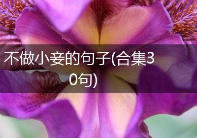 不做小妾的句子(合集30句)