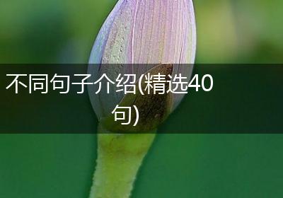 不同句子介绍(精选40句)