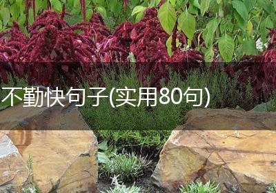 不勤快句子(实用80句)