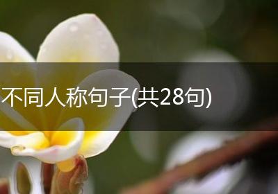 不同人称句子(共28句)