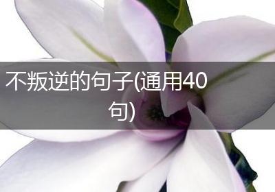 不叛逆的句子(通用40句)