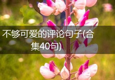 不够可爱的评论句子(合集40句)