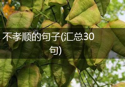 不孝顺的句子(汇总30句)