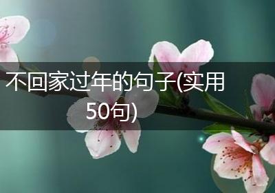 不回家过年的句子(实用50句)