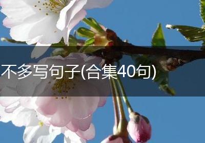 不多写句子(合集40句)