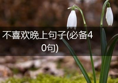 不喜欢晚上句子(必备40句)