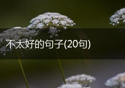 不太好的句子(20句)