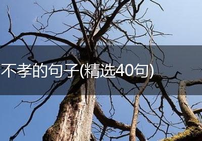不孝的句子(精选40句)