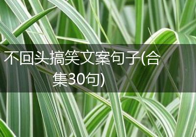不回头搞笑文案句子(合集30句)