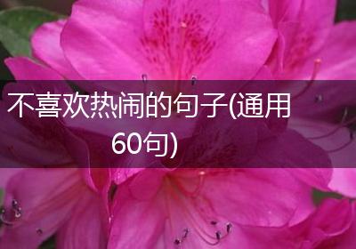 不喜欢热闹的句子(通用60句)
