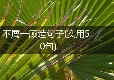 不屑一顾造句子(实用50句)