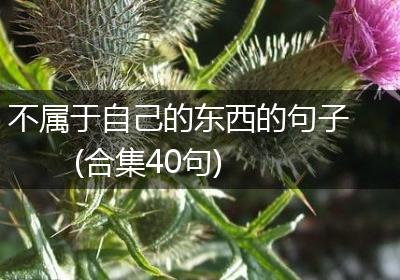 不属于自己的东西的句子(合集40句)
