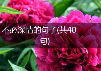 不必深情的句子(共40句)