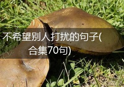 不希望别人打扰的句子(合集70句)