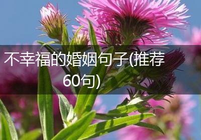 不幸福的婚姻句子(推荐60句)