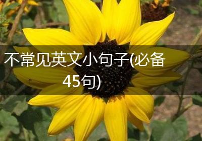 不常见英文小句子(必备45句)