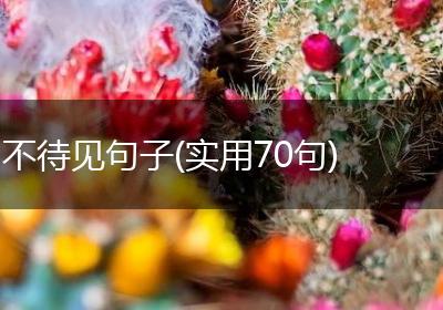 不待见句子(实用70句)