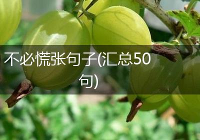 不必慌张句子(汇总50句)