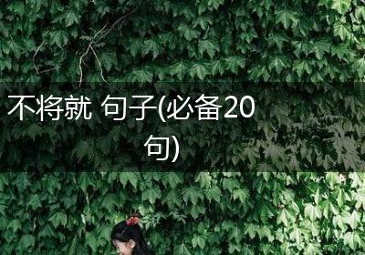 不将就 句子(必备20句)