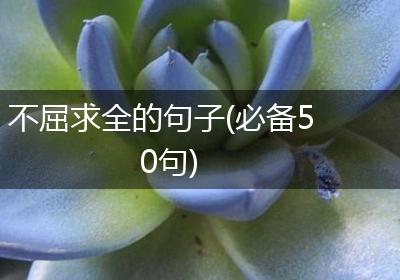 不屈求全的句子(必备50句)