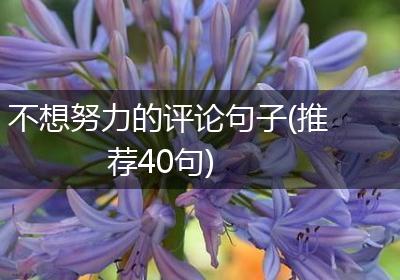 不想努力的评论句子(推荐40句)
