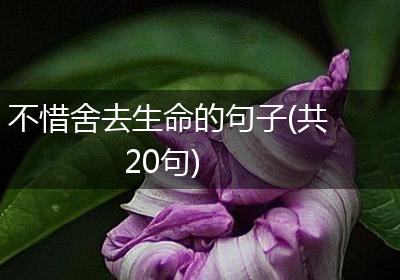不惜舍去生命的句子(共20句)