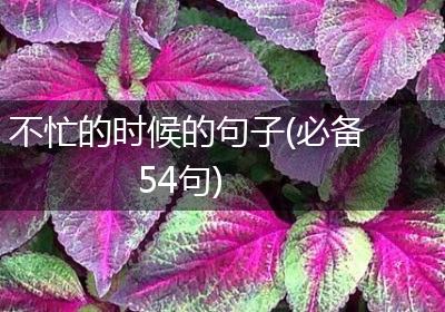 不忙的时候的句子(必备54句)