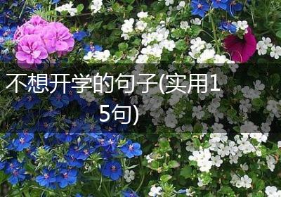 不想开学的句子(实用15句)
