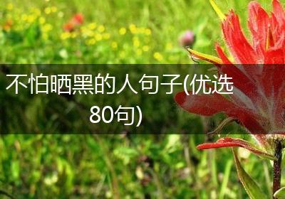 不怕晒黑的人句子(优选80句)