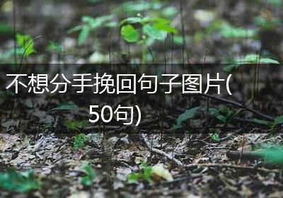 不想分手挽回句子图片(50句)