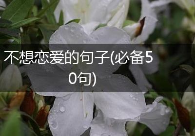 不想恋爱的句子(必备50句)