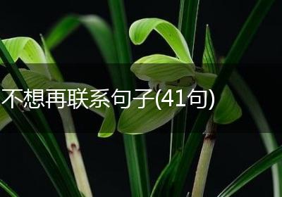 不想再联系句子(41句)