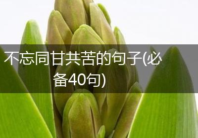 不忘同甘共苦的句子(必备40句)