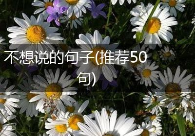 不想说的句子(推荐50句)