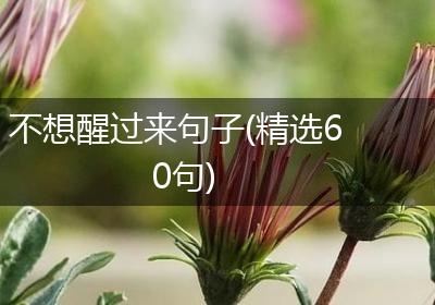 不想醒过来句子(精选60句)