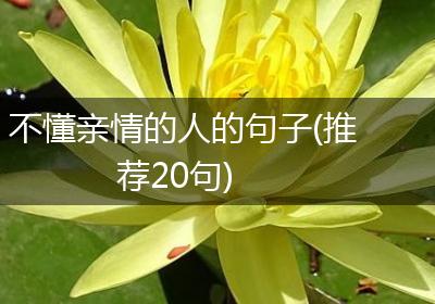 不懂亲情的人的句子(推荐20句)